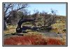 20/IMG_4477 kim site.jpg